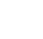 Netora Logo
