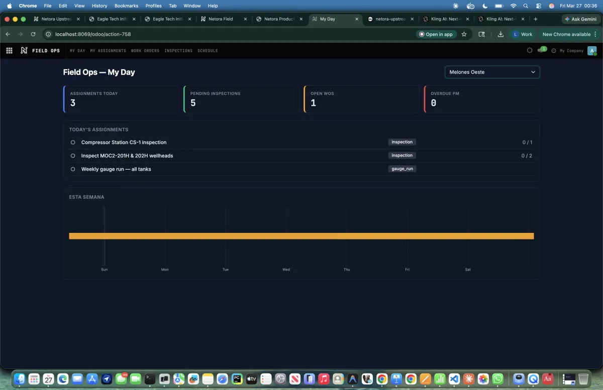 ERP field integration